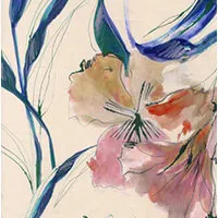 Cuvertură Prelude