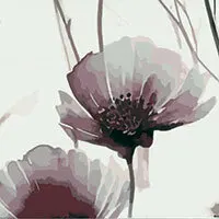 Cuvertură Tulip
